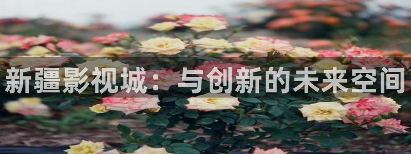 理想之城免费观看策驰影院：新疆影视城：与创新的未来空间