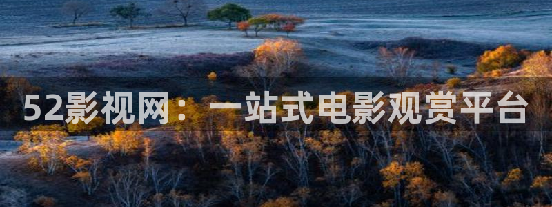雪豹电视剧策驰影院：52影视网：一站式电影观赏平台