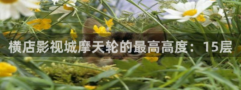 策驰影院免费官网：横店影视城摩天轮的最高高度：15层