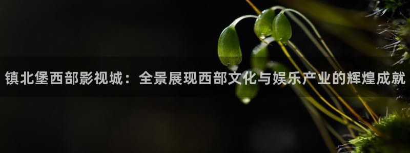 后浪策驰影院：镇北堡西部影视城：全景展现西部文化与娱乐产业的辉煌成就